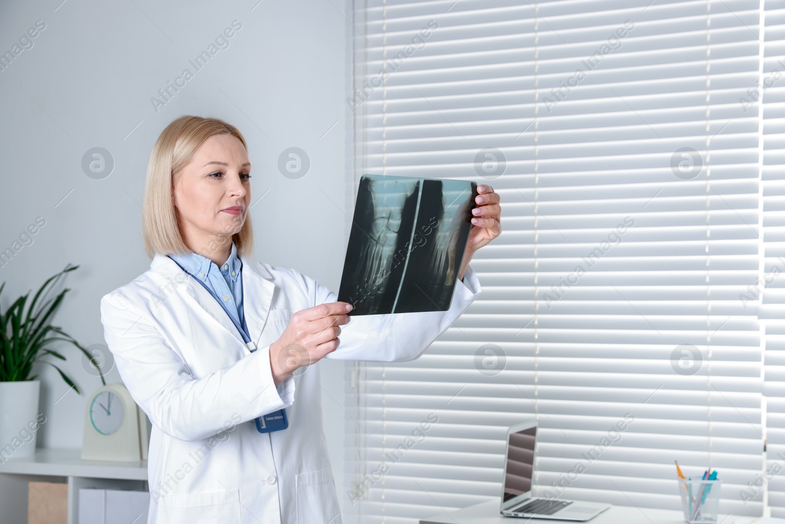 Photo of Doctor examining foot x-ray in clinic, space for text