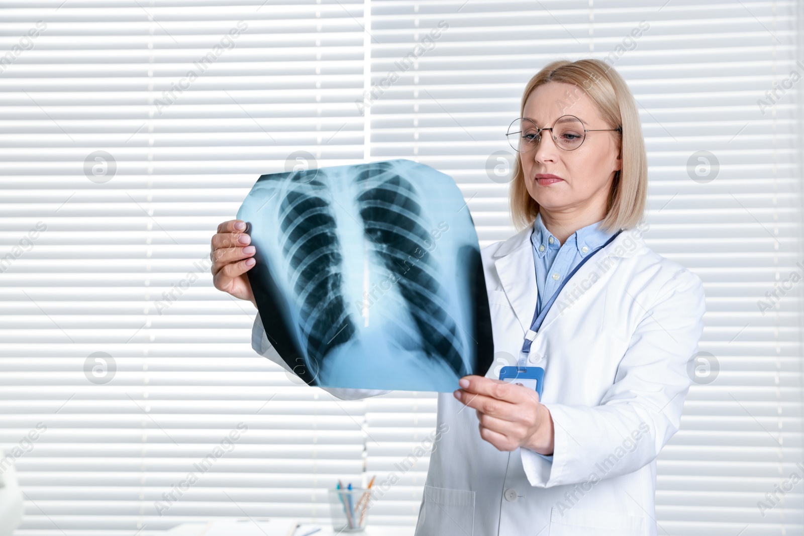 Photo of Doctor examining chest x-ray in clinic, space for text