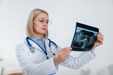 Photo of Doctor with glasses examining x-ray picture in clinic