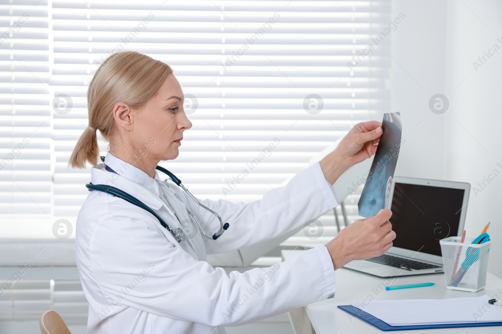 Photo of Doctor examining x-ray image of paranasal sinuses at table in clinic