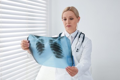 Photo of Doctor examining x-ray image of lungs in clinic