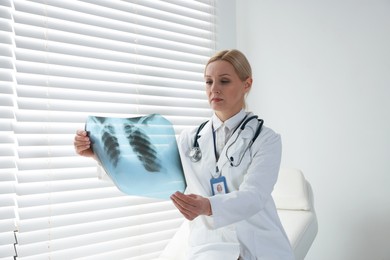 Photo of Doctor examining x-ray image of lungs in clinic