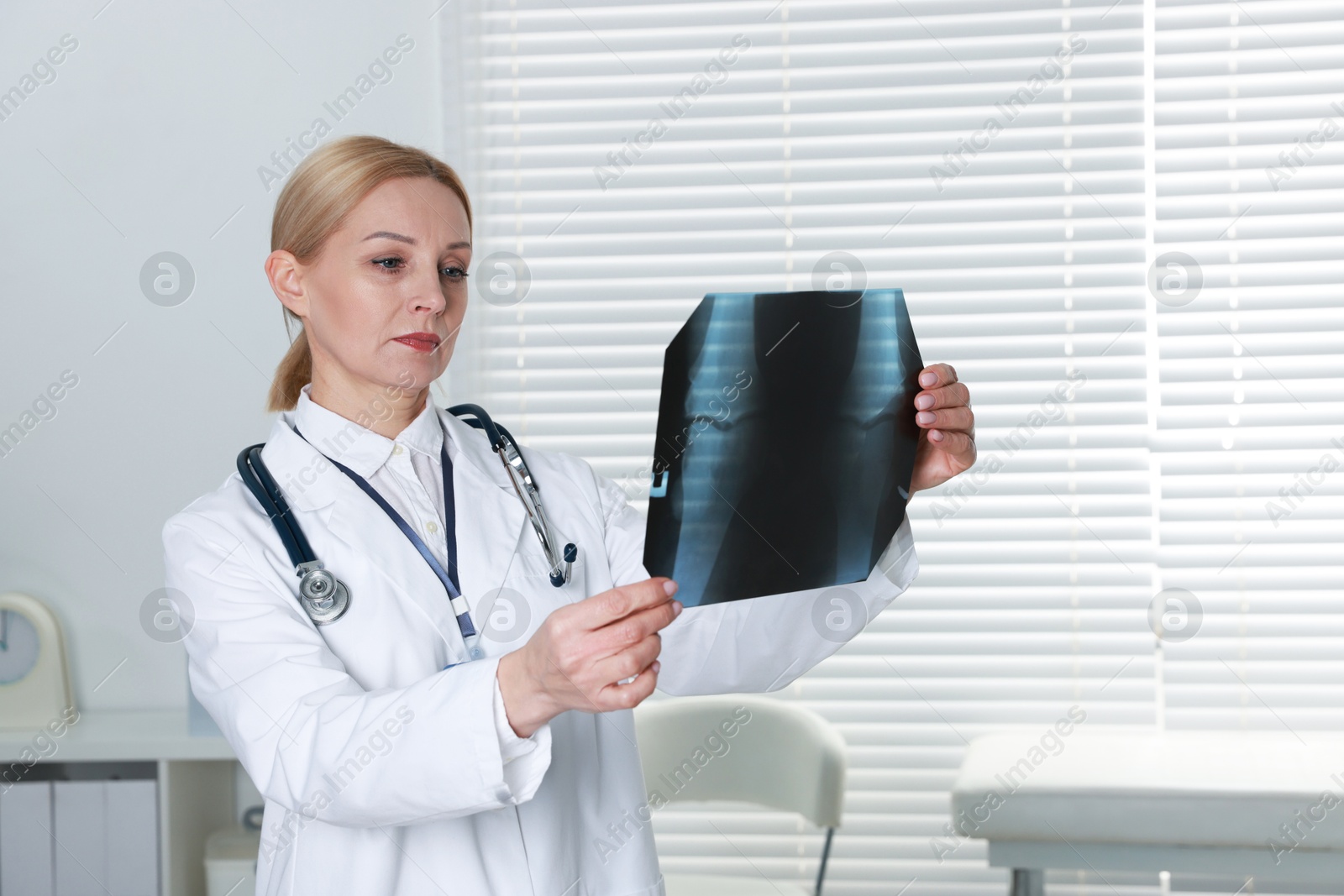 Photo of Doctor examining x-ray image of knee in clinic, space for text