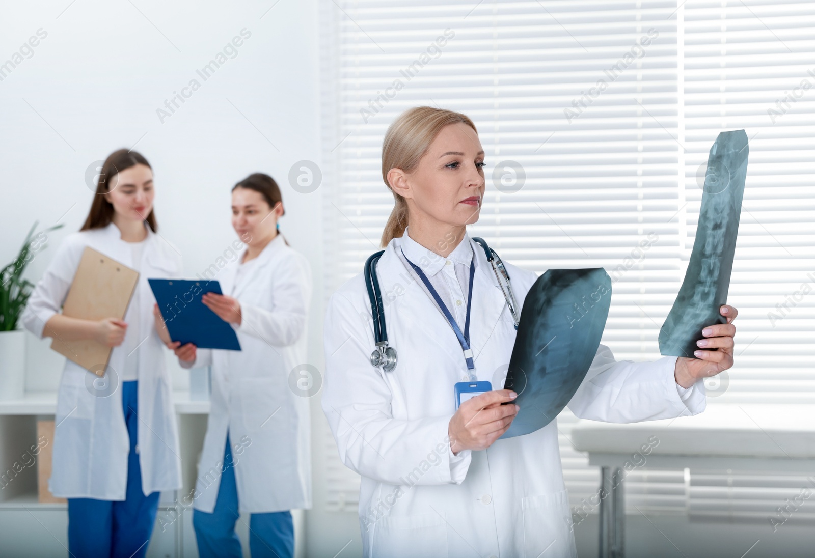 Photo of Doctor examining x-ray images of backbone in clinic. Medical assistants with clipboards indoors