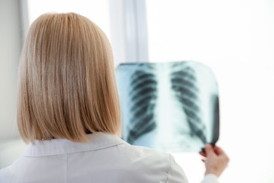 Photo of Doctor examining chest x-ray near window in clinic, back view