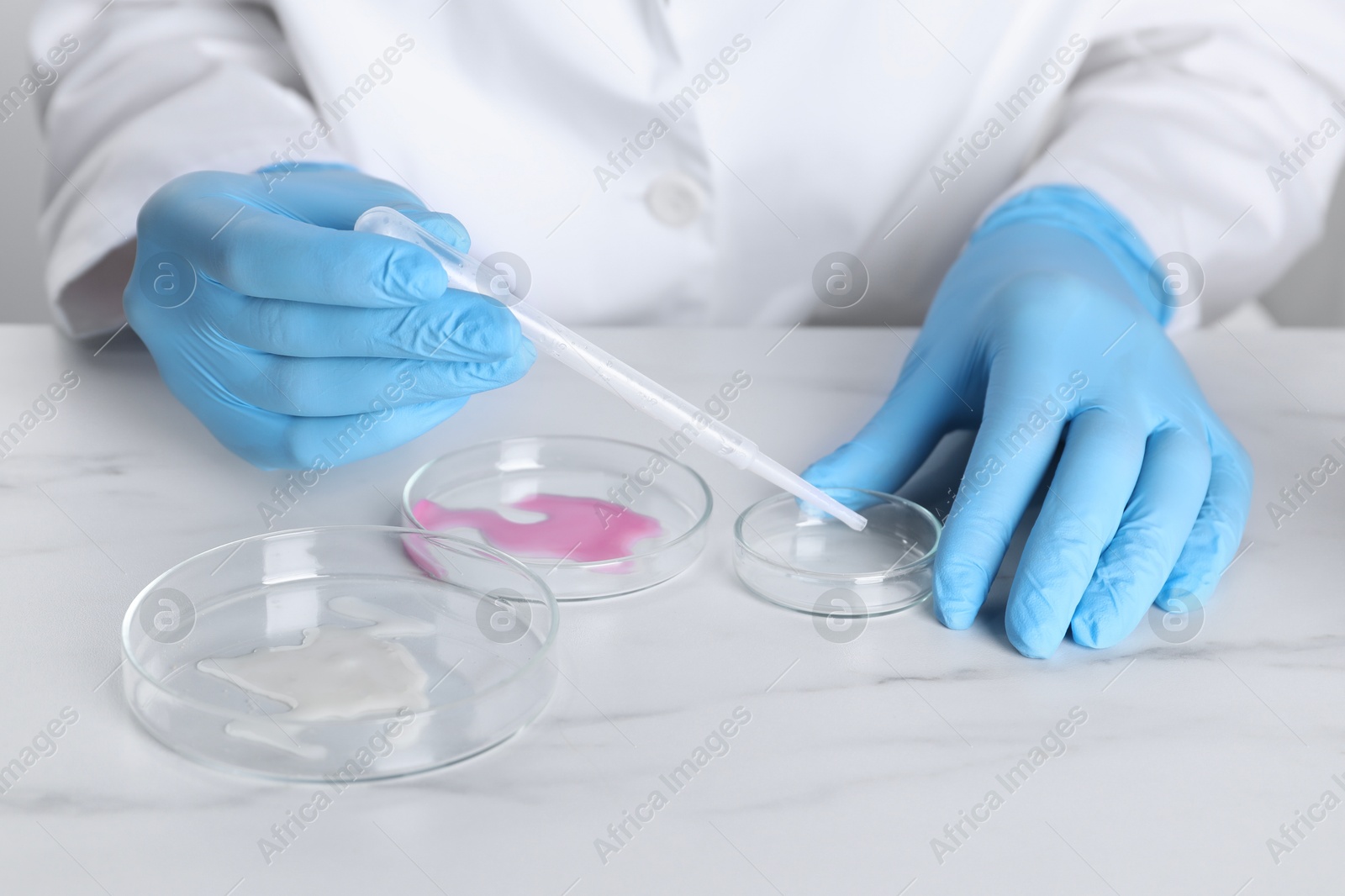 Photo of Laboratory testing. Scientist working with Petri dishes at white marble table, closeup