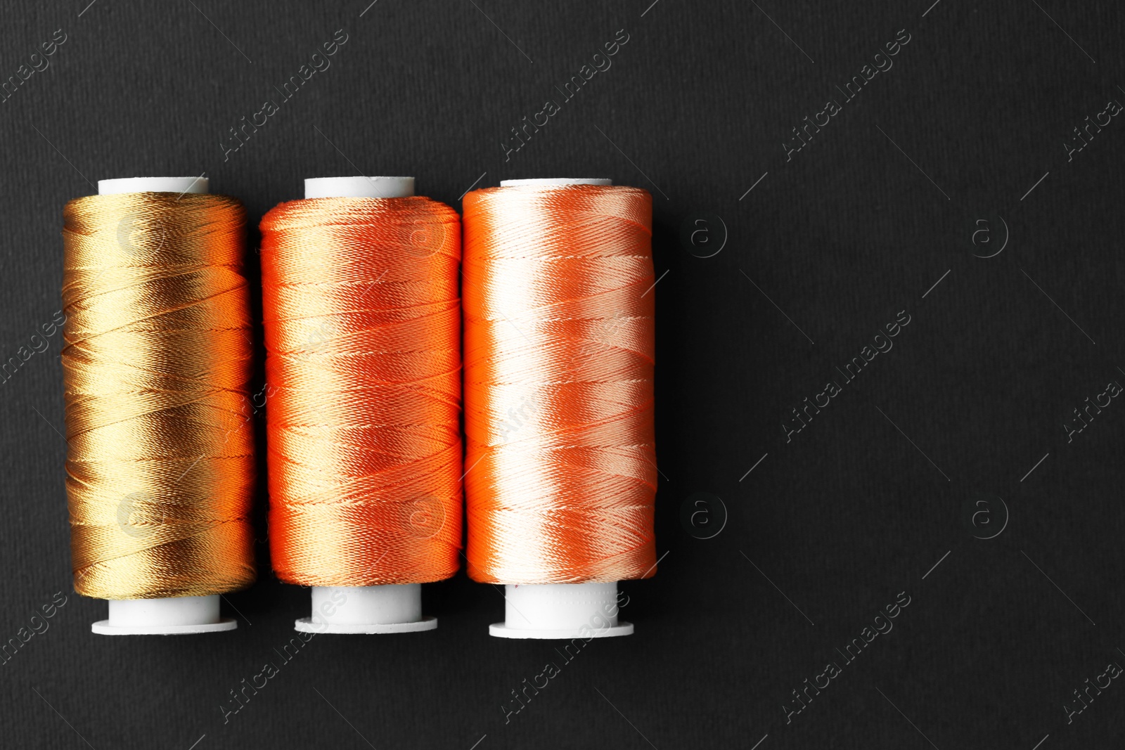 Photo of Spools of colorful sewing threads on black background, flat lay. Space for text