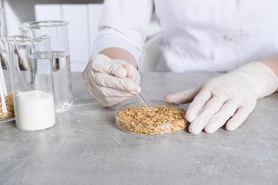 Photo of Laboratory testing. Scientist working with grain sample at grey table indoors, closeup