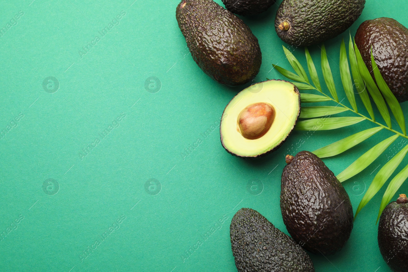 Photo of Fresh ripe avocados and leaf on teal background, flat lay. Space for text