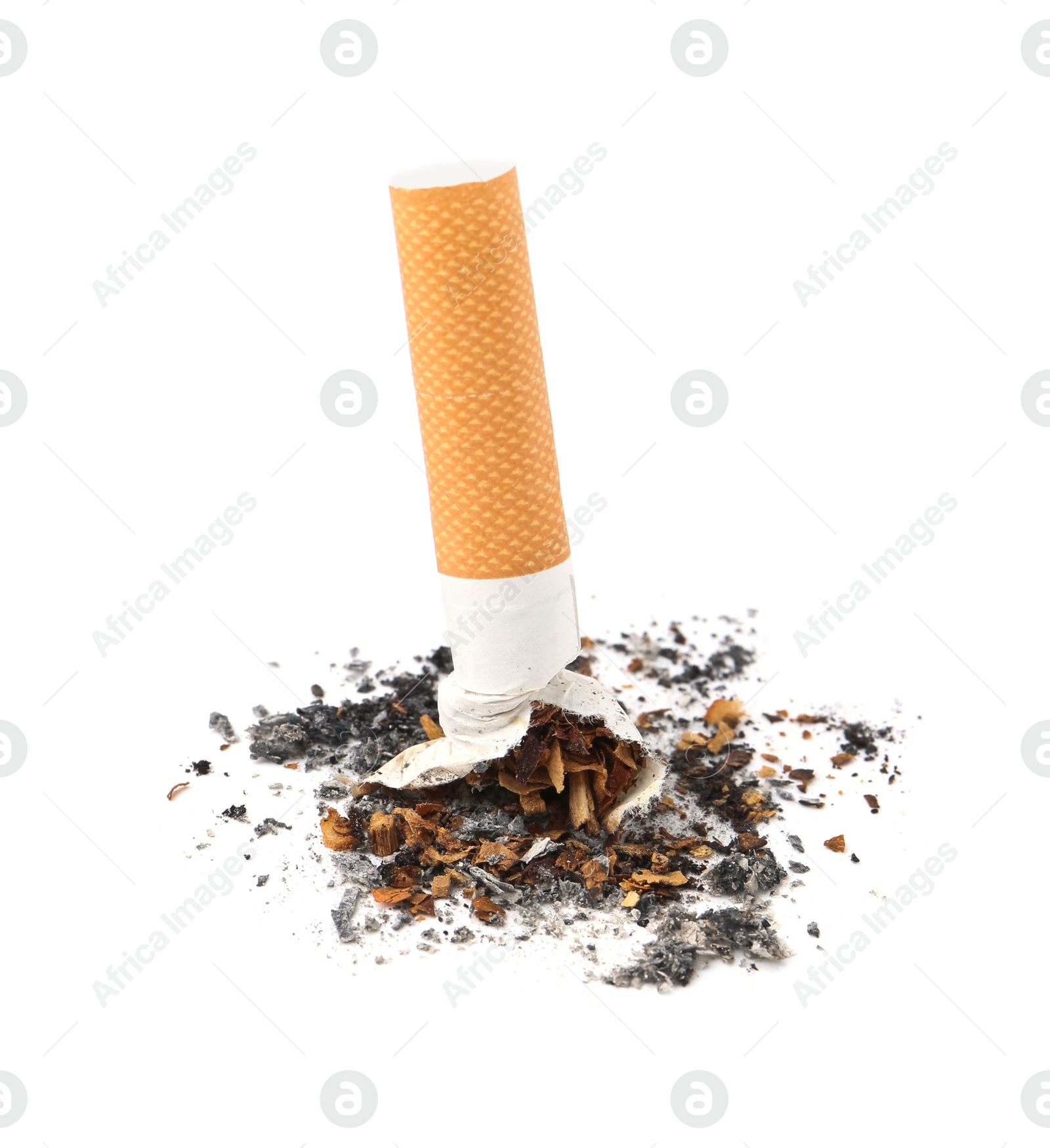 Photo of One cigarette butt isolated on white. Smoking habit