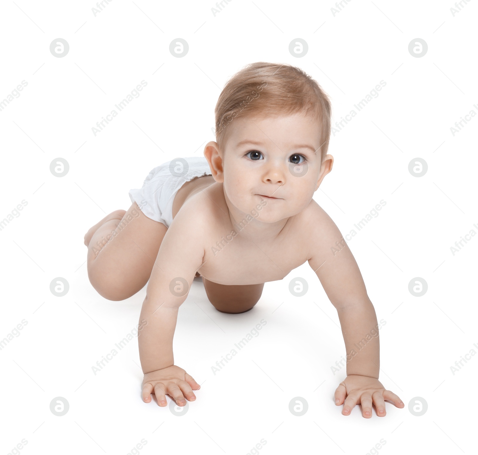 Photo of Adorable little baby crawling on white background