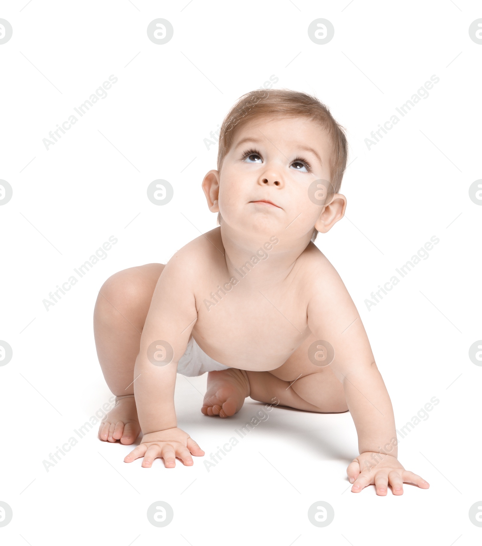 Photo of Adorable little baby crawling on white background