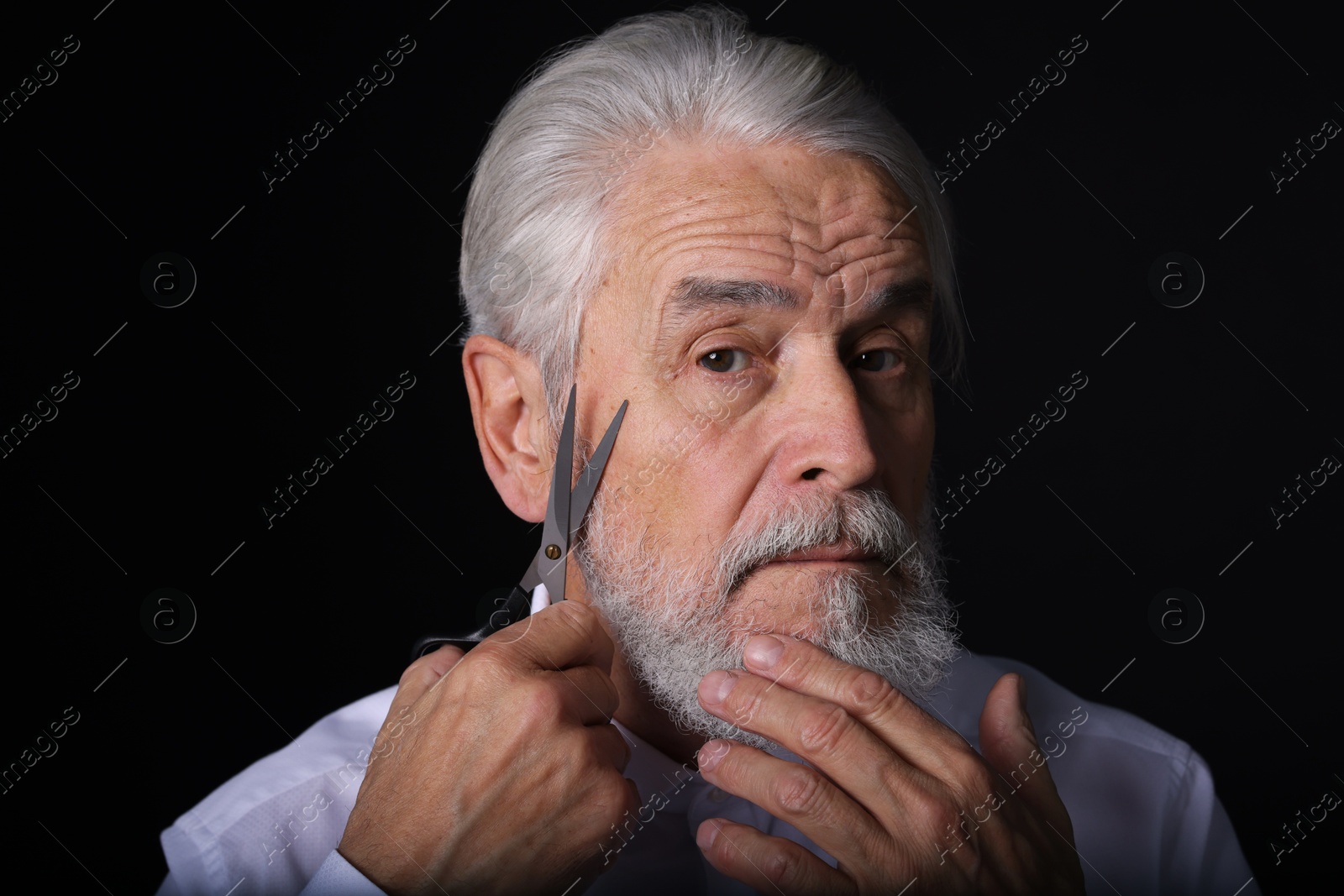 Photo of Senior man trimming beard with scissors on black background