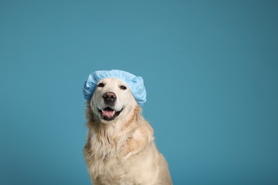 Photo of Cute funny dog in shower cap on light blue background. Space for text