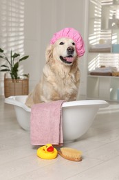 Photo of Cute dog with shower cap in small bathtub and bath accessories at home