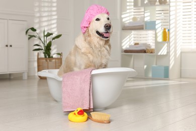 Photo of Cute dog with shower cap in small bathtub and bath accessories at home