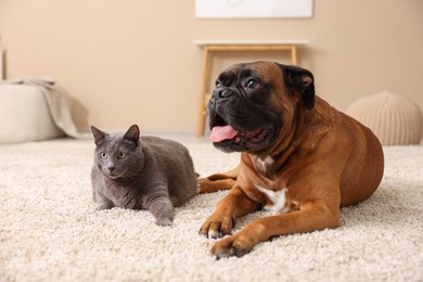 Photo of Cute dog and cat lying on floor at home