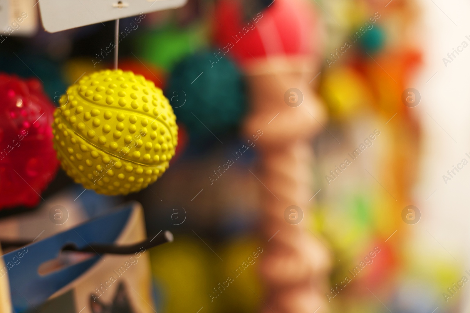 Photo of Toys on display in pet shop, closeup. Space for text