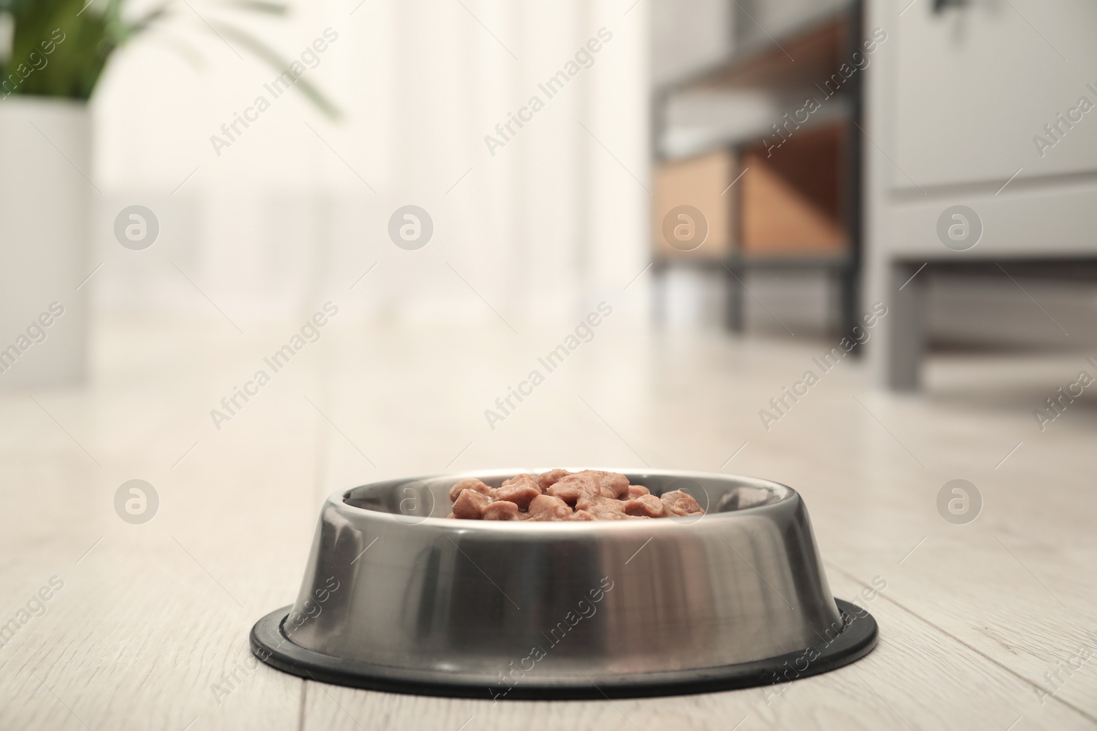 Photo of Wet pet food in feeding bowl on floor indoors, space for text