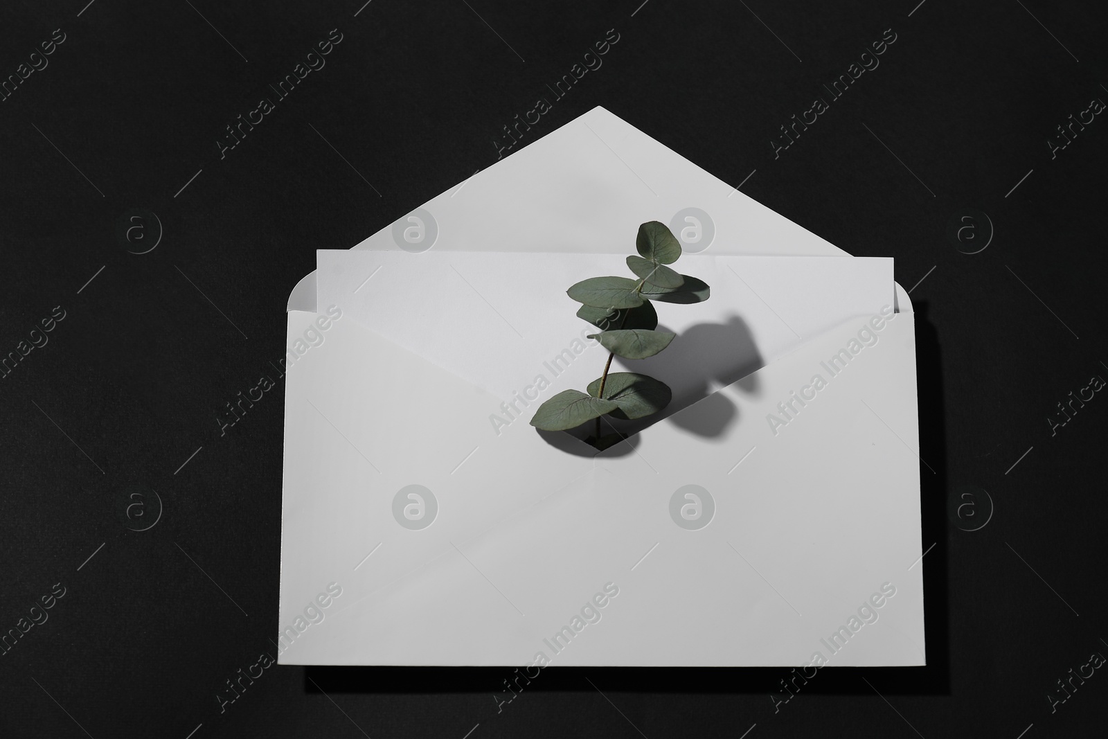 Photo of Paper envelope with letter and eucalyptus branch on black background, above view. Mockup for design