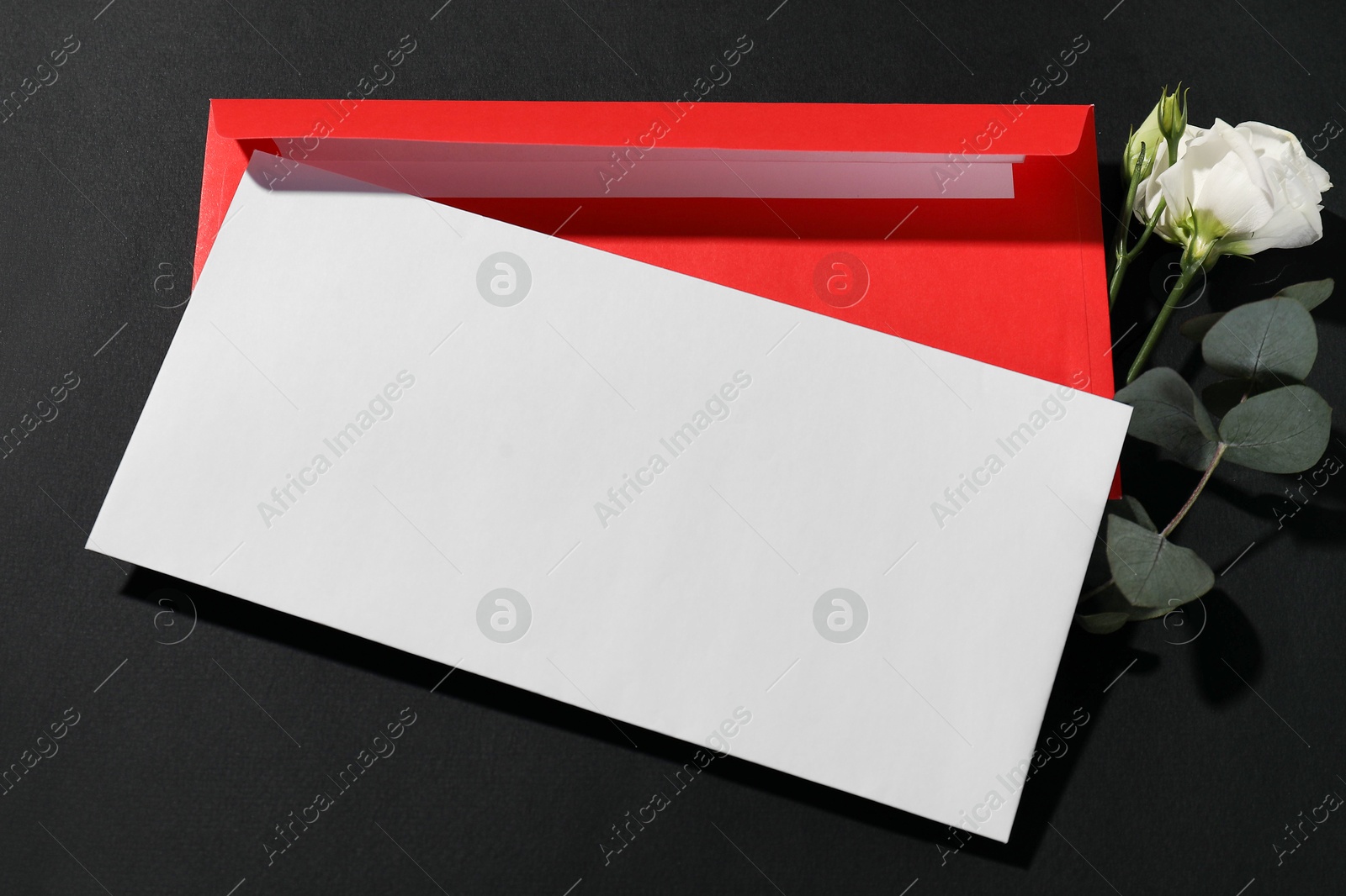 Photo of Paper envelopes, flower and eucalyptus branch on black background, above view. Mockup for design