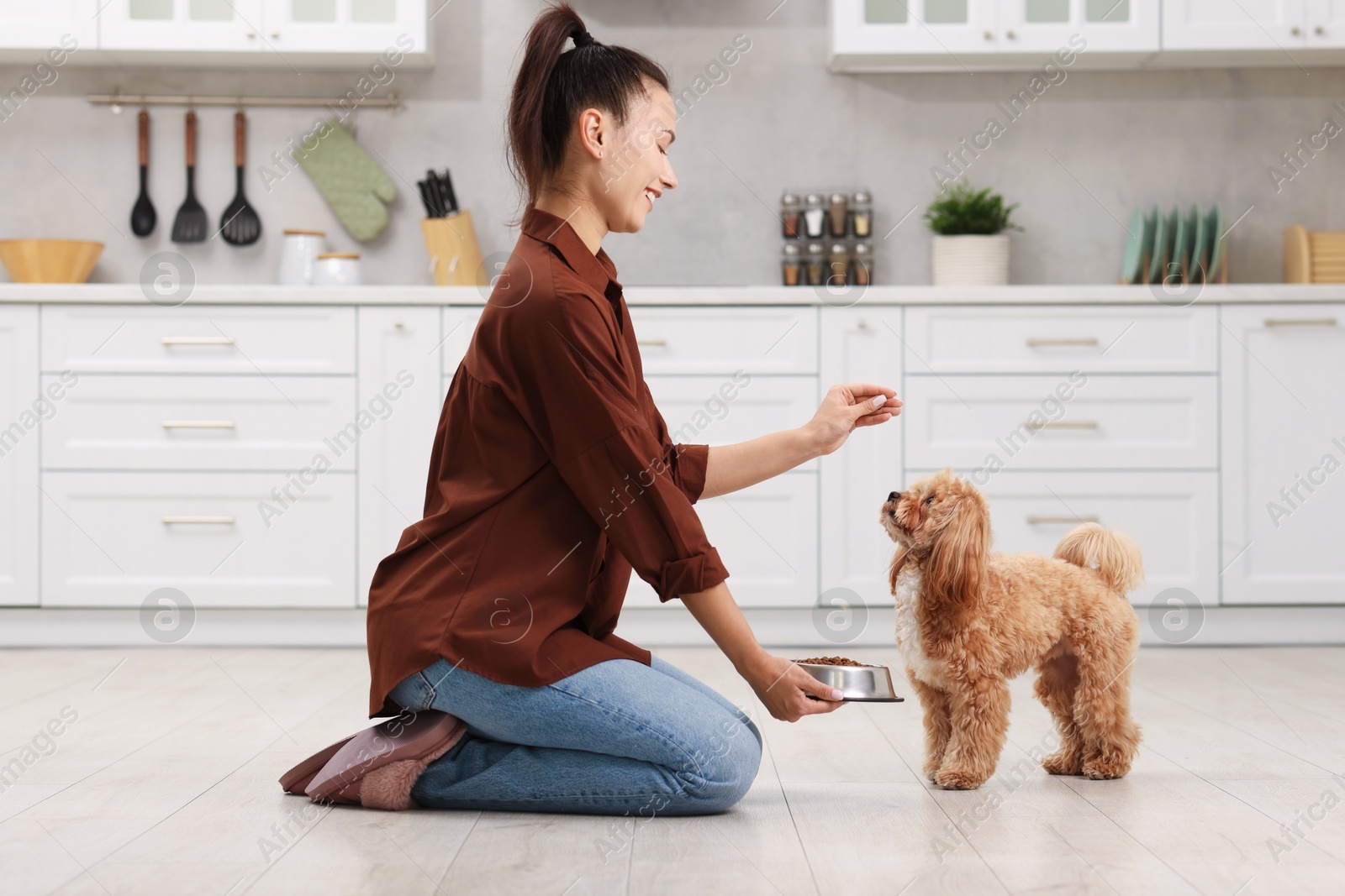 Photo of Smiling owner feeding her cute dog with dry pet food in kitchen