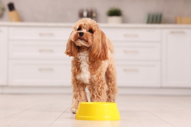 Photo of Cute dog waiting for pet food near feeding bowl at home