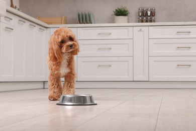 Photo of Cute dog waiting for pet food near feeding bowl at home. Space for text