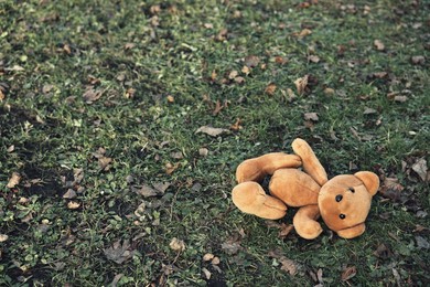 Photo of Lost brown teddy bear on green grass, above view. Space for text