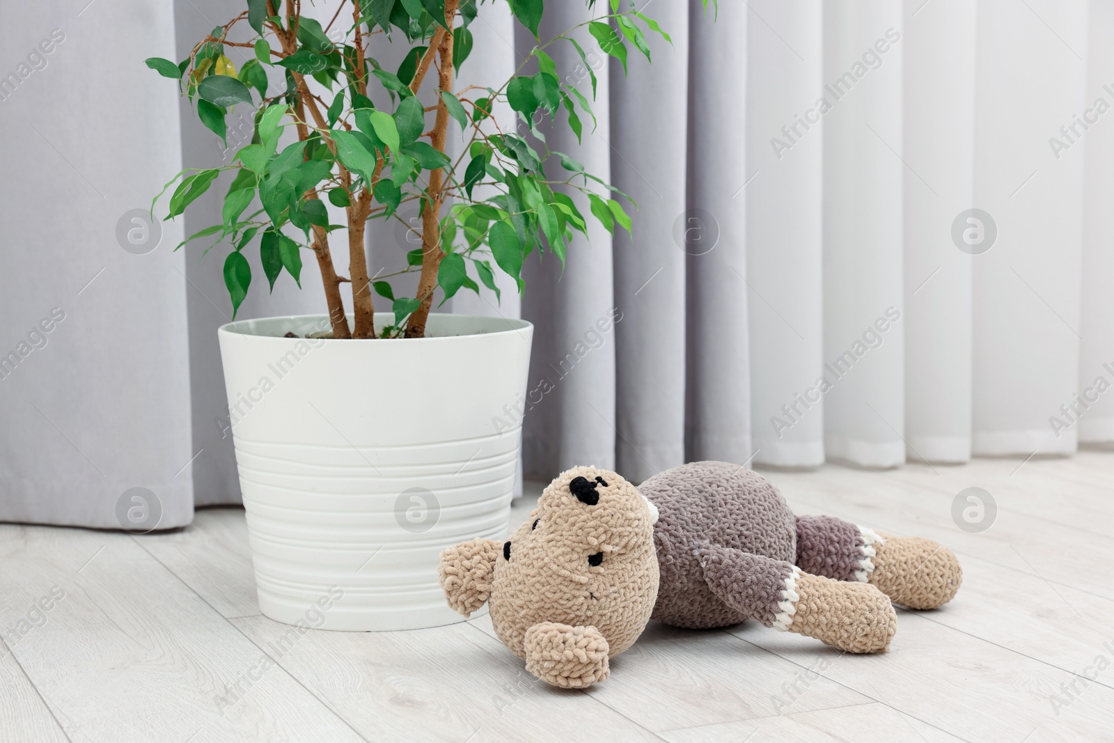 Photo of Lost knitted toy bear near houseplant on floor in room