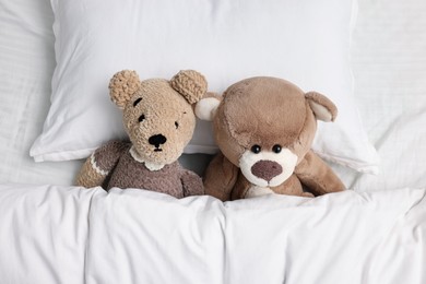 Photo of Two cute teddy bears in bed, above view