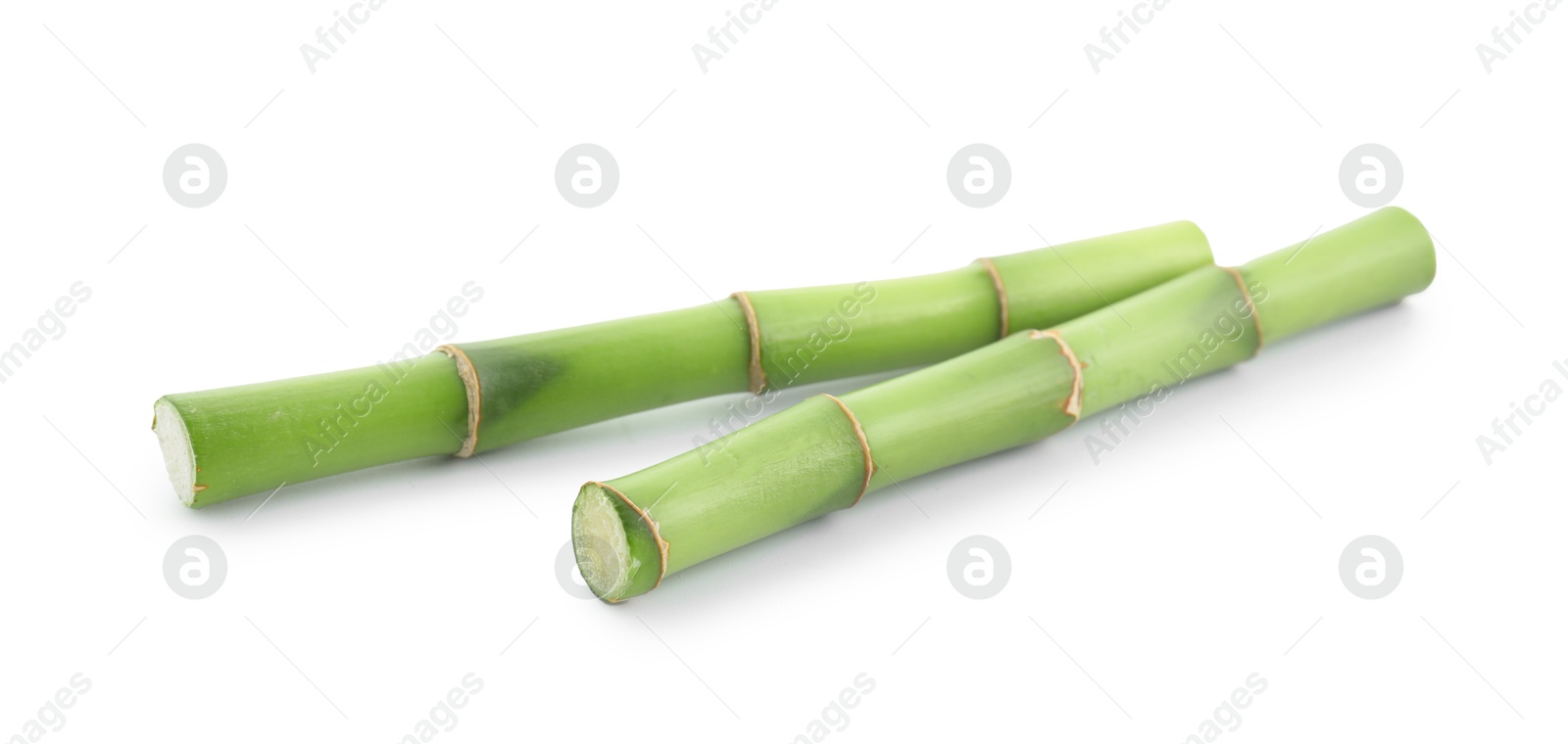 Photo of Cut green bamboo stems isolated on white