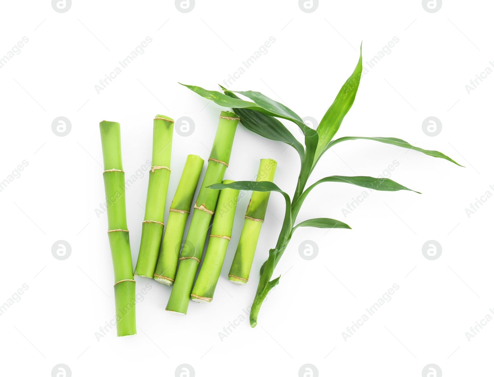 Photo of Cut green bamboo stems and leaves isolated on white, top view