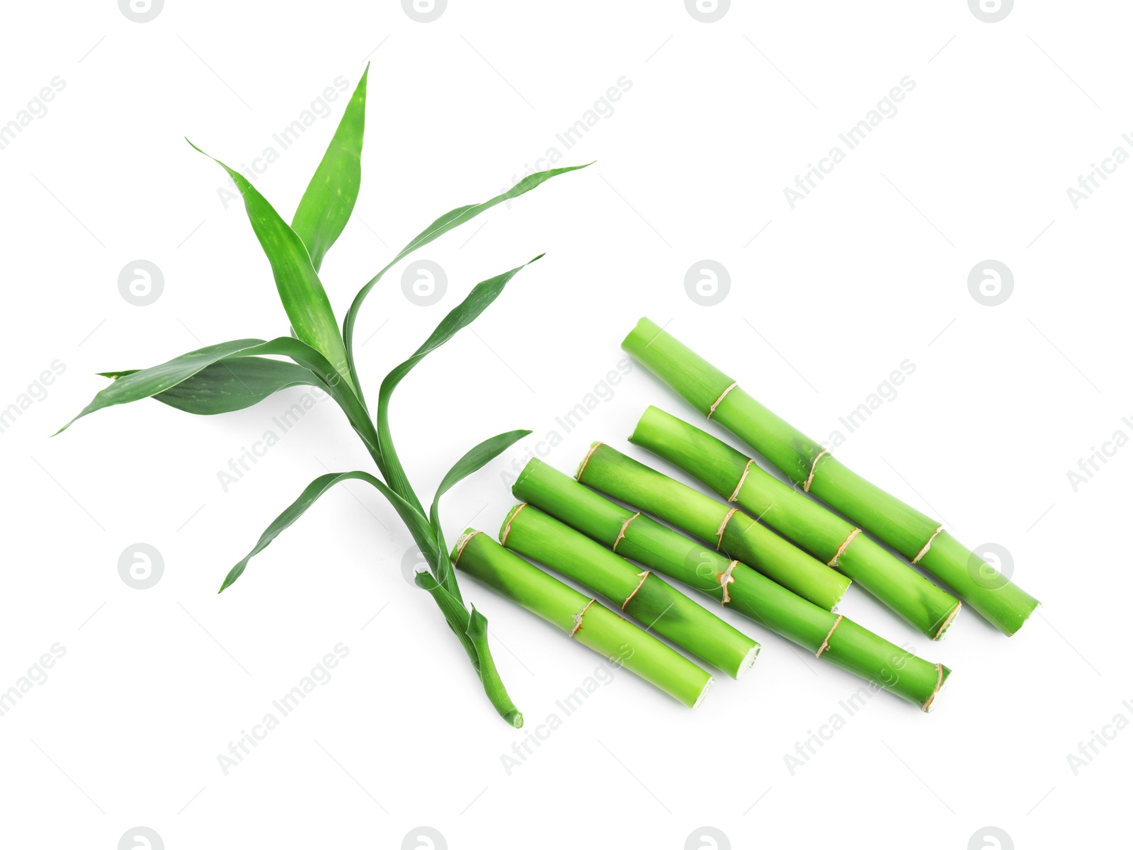 Photo of Cut green bamboo stems and leaves isolated on white, top view