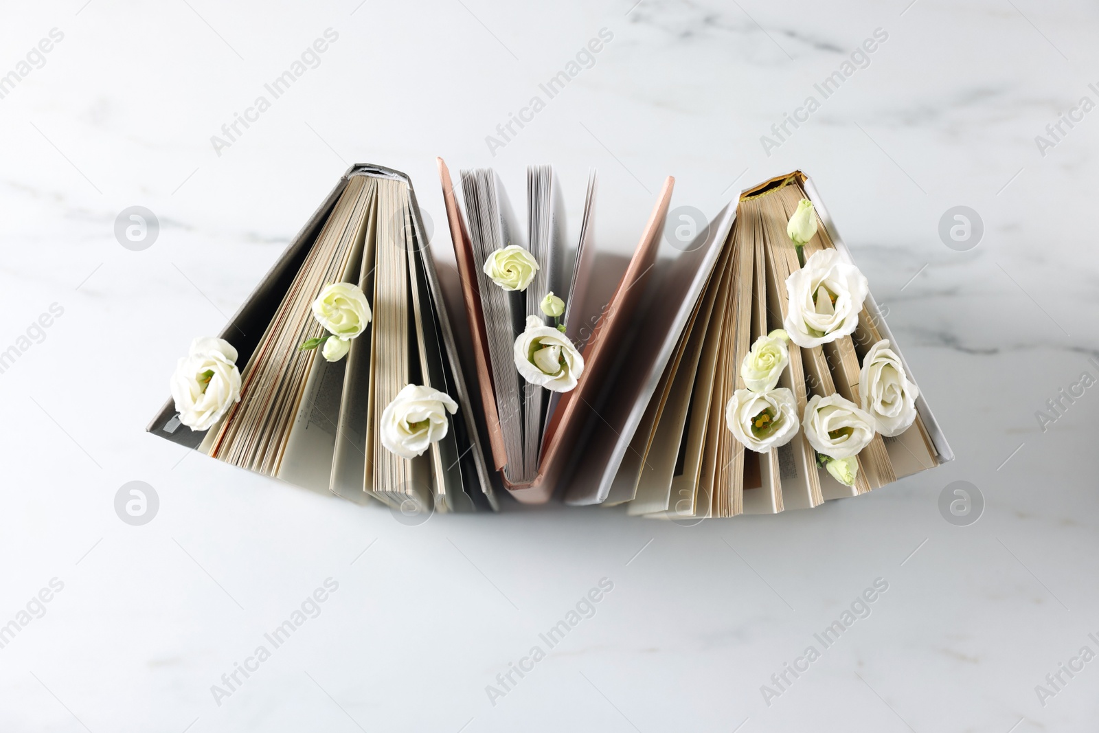 Photo of Books and beautiful eustoma flowers on white marble table, top view