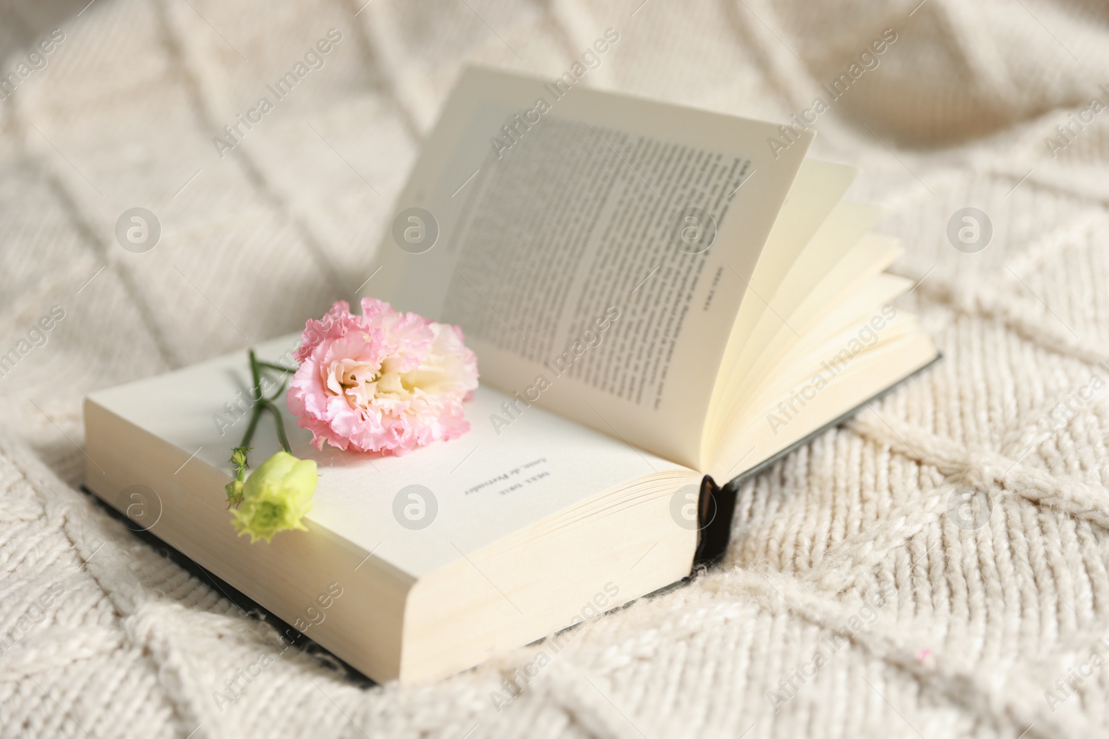 Photo of Open book with beautiful flowers on blanket, closeup