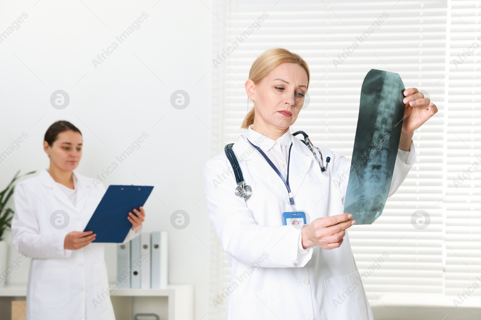 Photo of Doctor examining x-ray image of backbone in clinic. Medical assistant with clipboard indoors