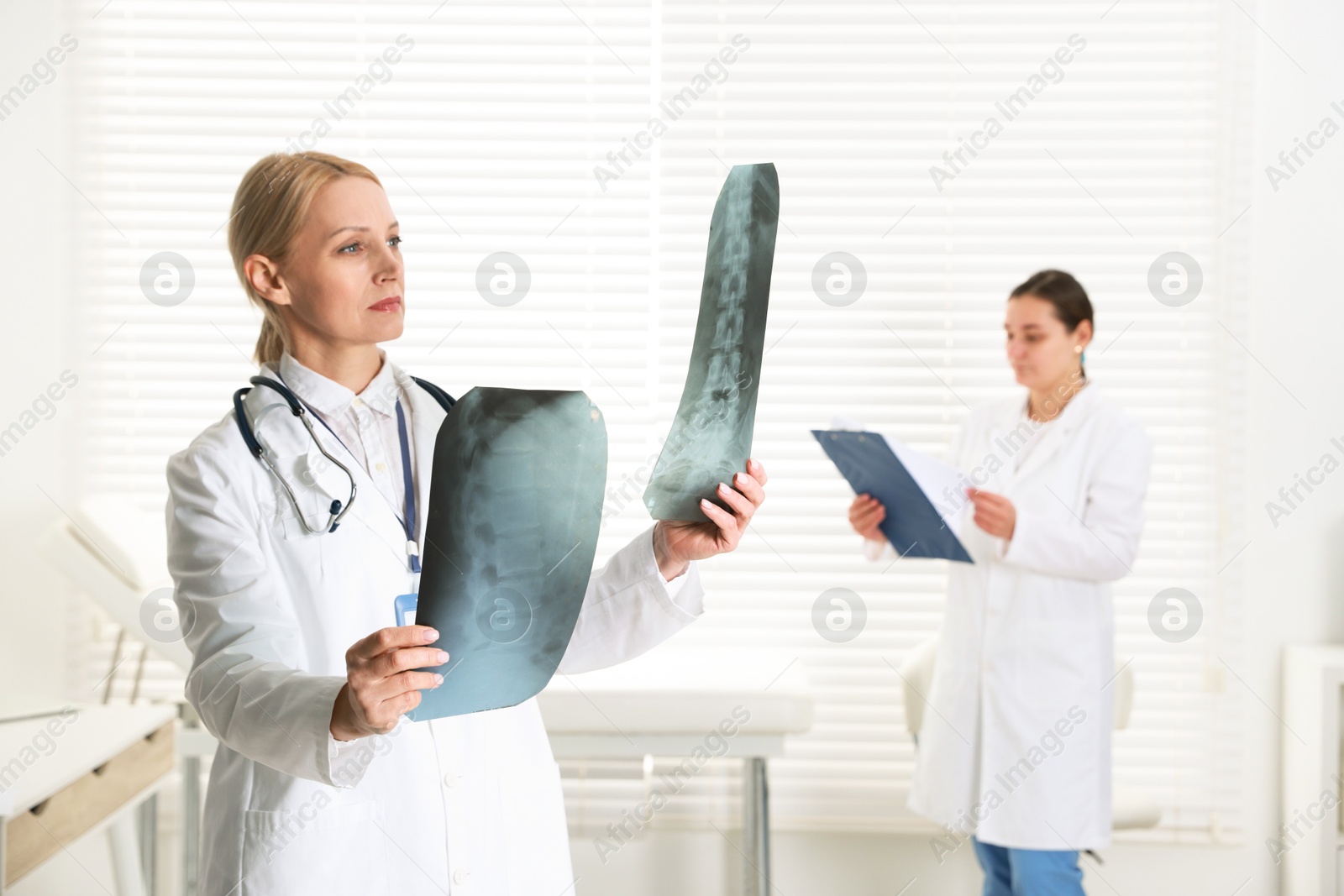 Photo of Doctor examining x-ray images of backbone in clinic. Medical assistant with clipboard indoors