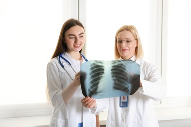 Photo of Doctors examining chest x-ray near window in clinic