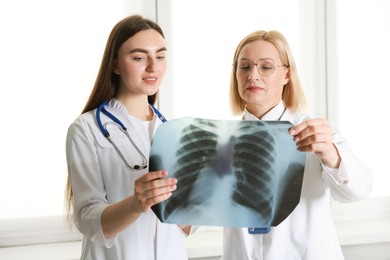 Photo of Doctors examining chest x-ray near window in clinic