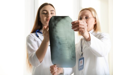 Photo of Doctors examining x-ray image of backbone near window in clinic, space for text