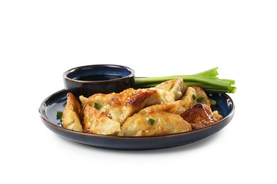 Photo of Tasty fried gyoza (dumplings), onion and soy sauce isolated on white