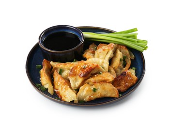 Photo of Tasty fried gyoza (dumplings), onion and soy sauce isolated on white