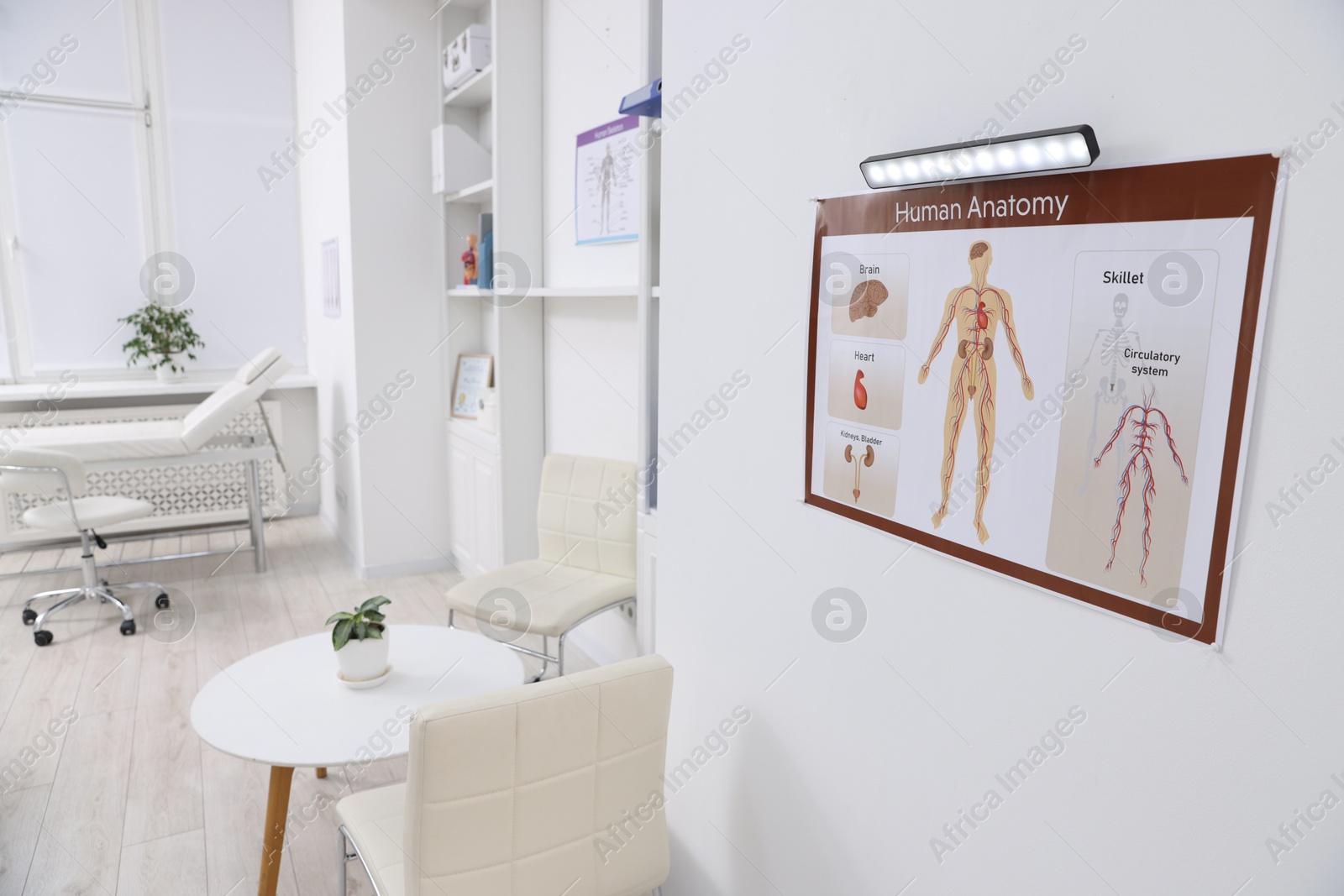 Photo of Waiting area in medical office. Healthcare service