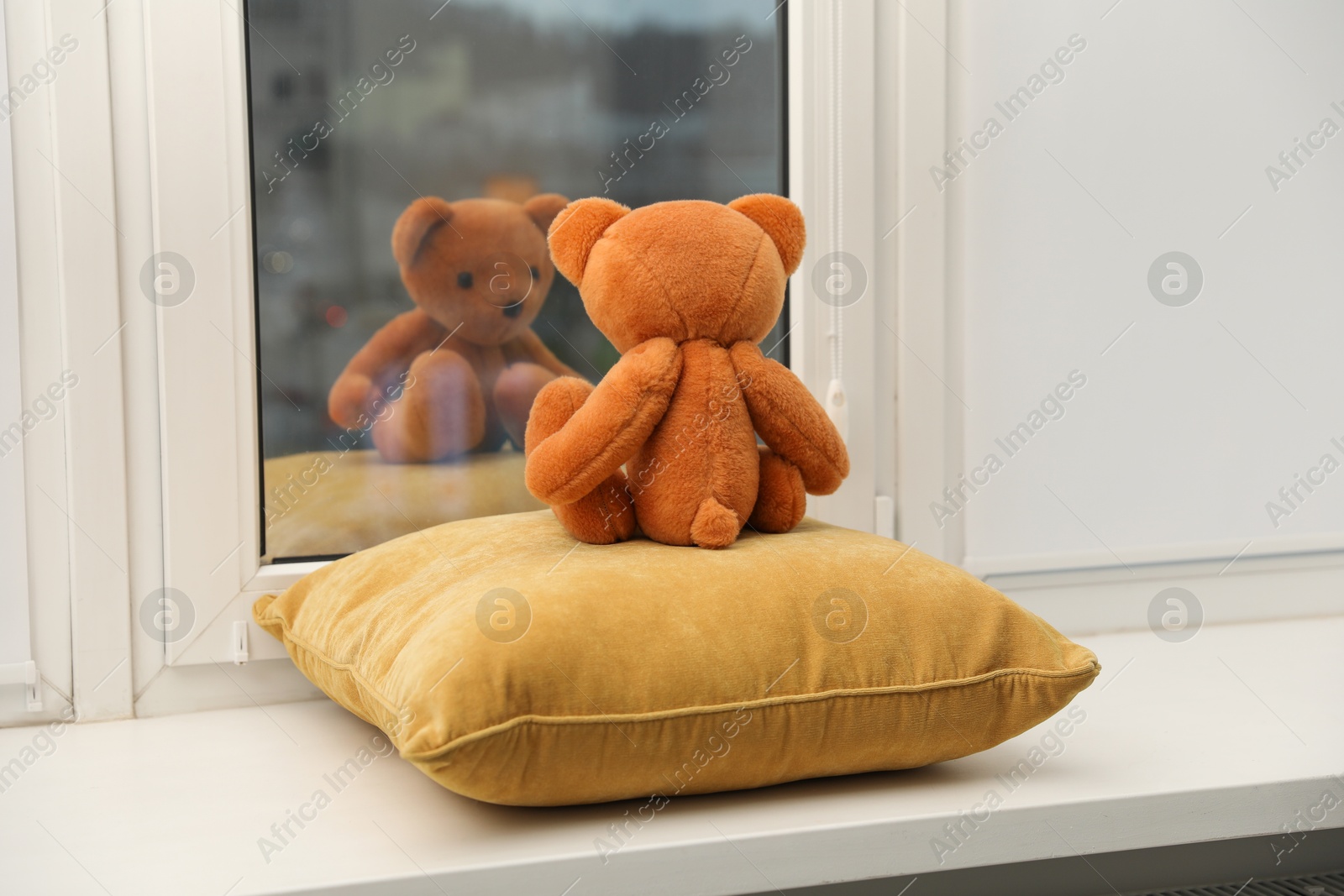 Photo of Teddy bear on window sill at home, back view