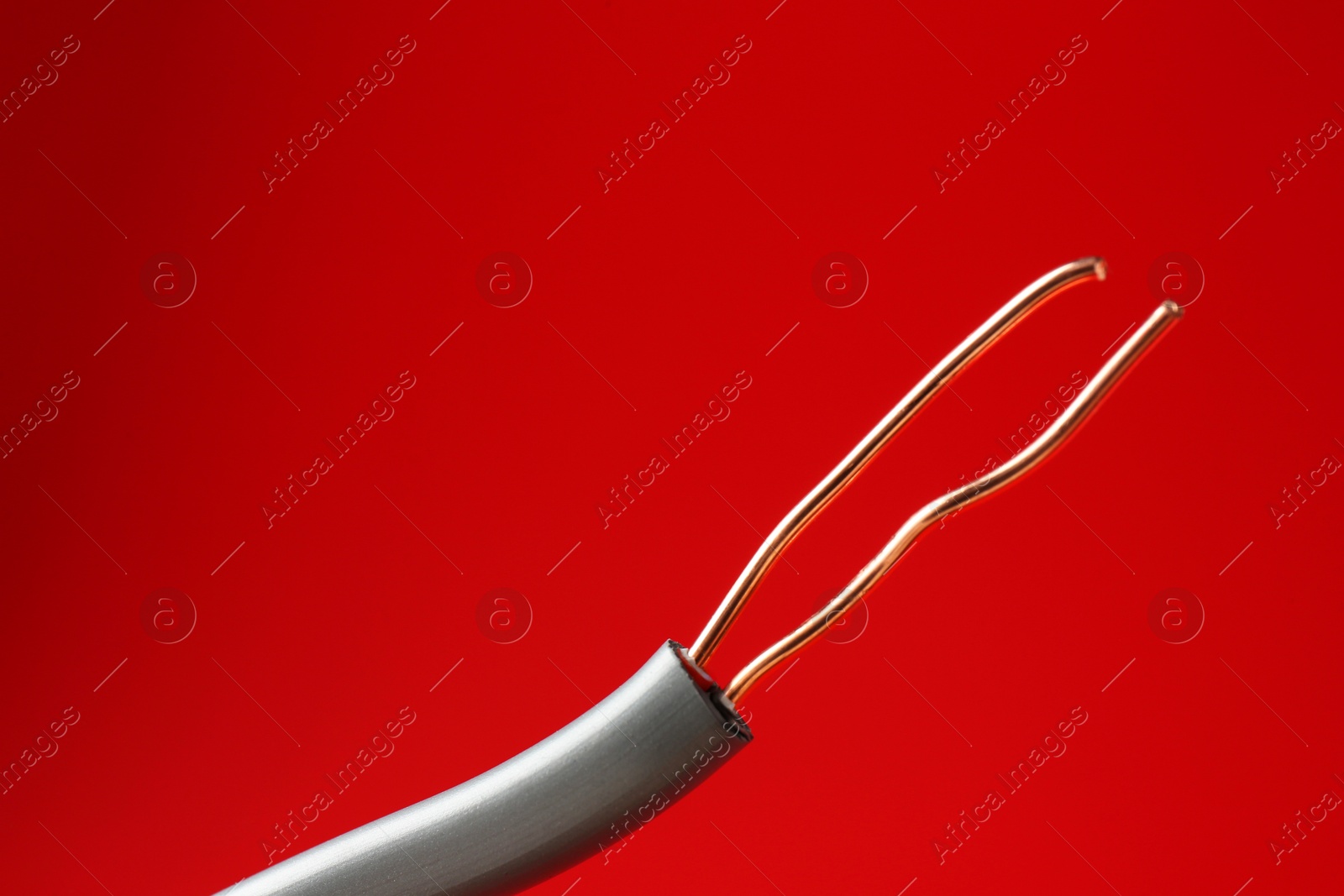 Photo of Stripped electrical wire with copper strands on red background, closeup