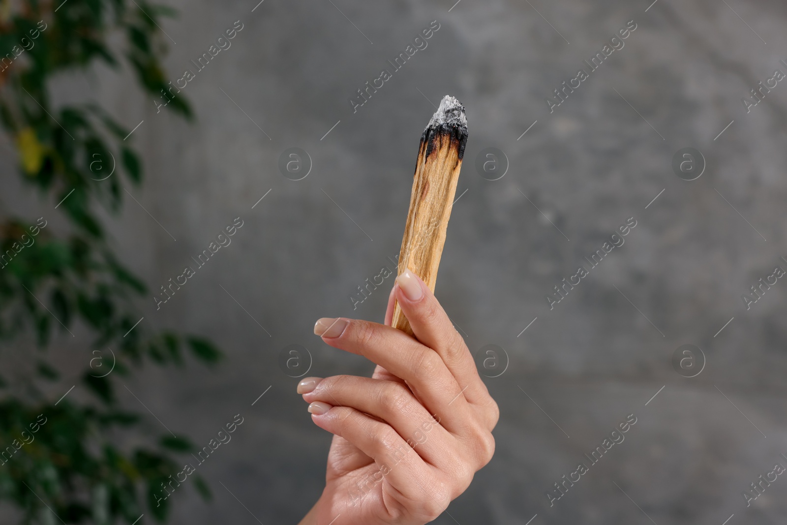 Photo of Woman with smoldering palo santo stick at home, closeup