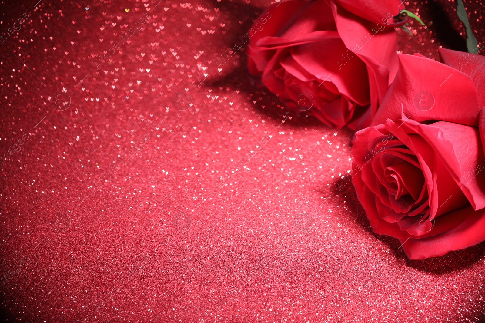 Photo of Romantic decor. Beautiful roses on shiny pink glitter and heart shaped lights, space for text. Bokeh effect