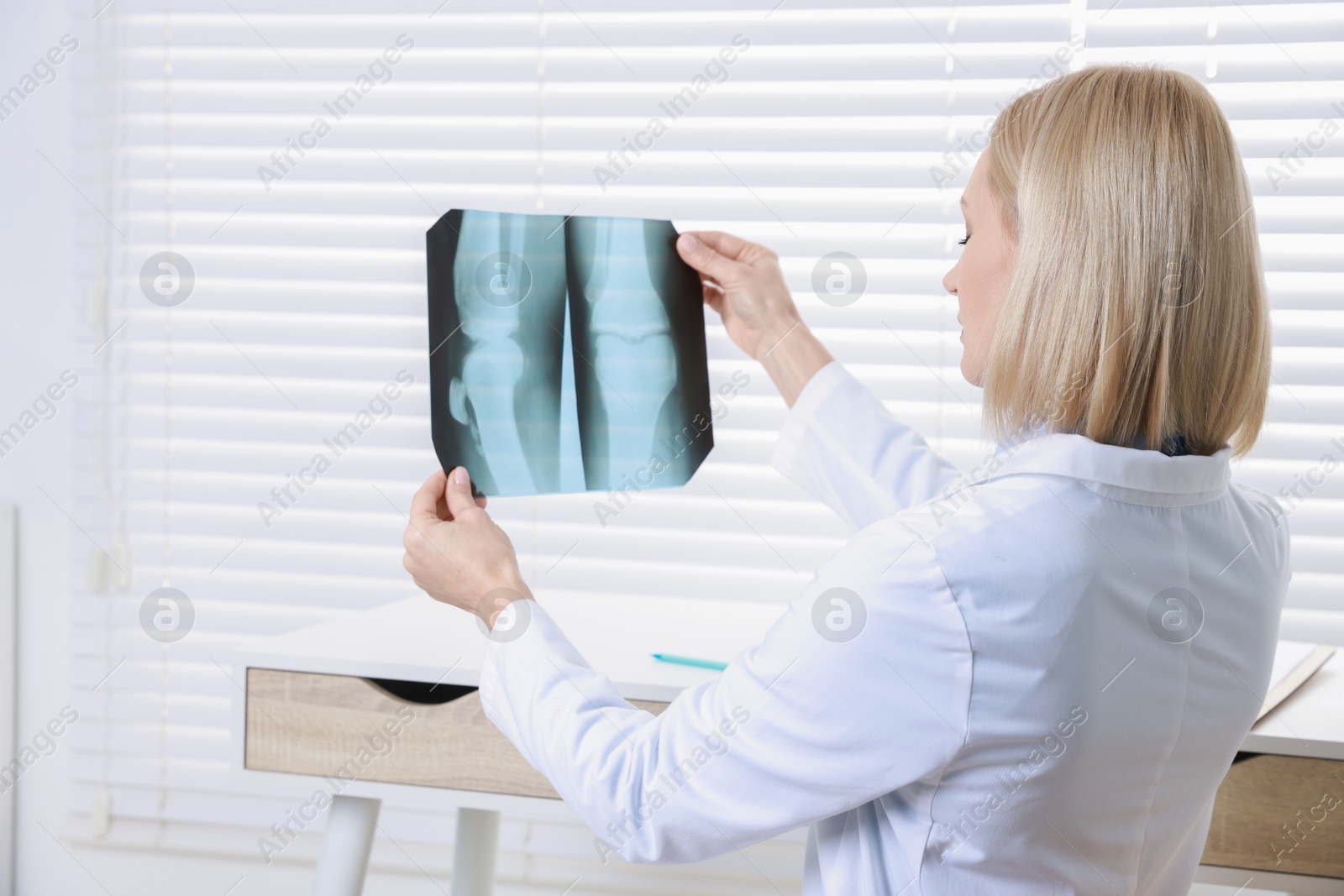 Photo of Doctor examining knee x-ray in clinic, space for text