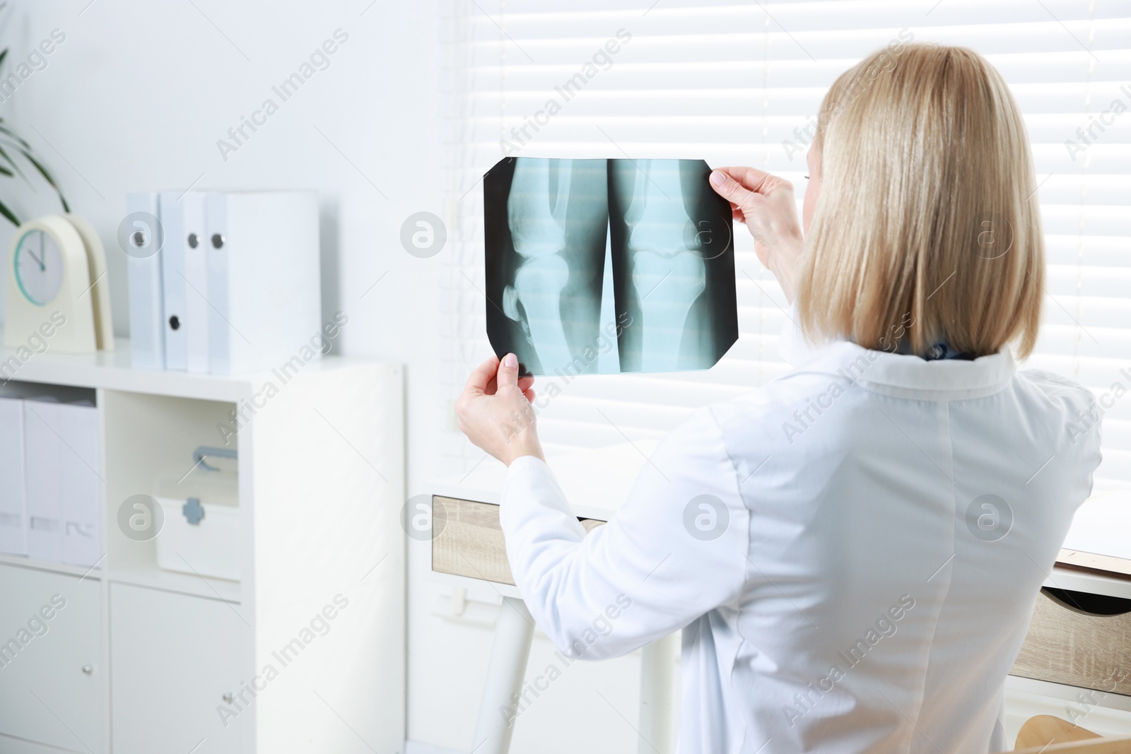 Photo of Doctor examining knee x-ray in clinic, space for text